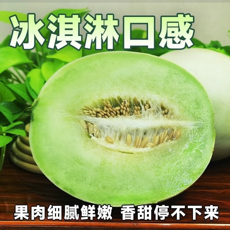 冰淇淋玉菇甜瓜水果当季新鲜整箱包邮脆甜白香头茬甄选现摘