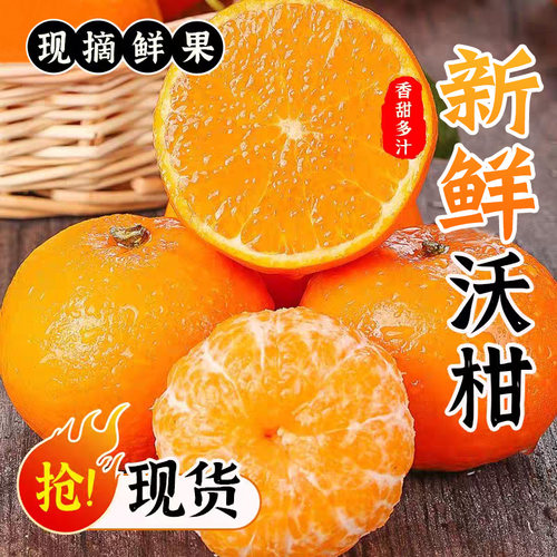 广西沃柑新鲜水果当季现摘沙糖蜜橘砂糖柑橘桔子橘子整箱包邮