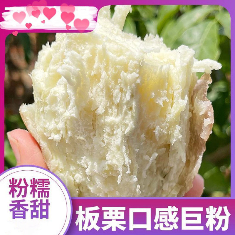 高州番薯白心爆皮王红薯新鲜粉糯香甜现挖农家地瓜,水产肉类/新鲜蔬果/熟食,番薯,淘宝优惠券,粉丝福利购,淘宝优惠卷