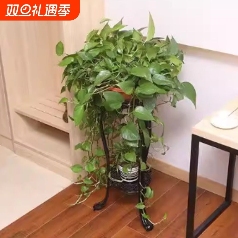 欧式花架铁艺多层室内落地式绿萝花架子客厅置物阳台多肉家用花盆