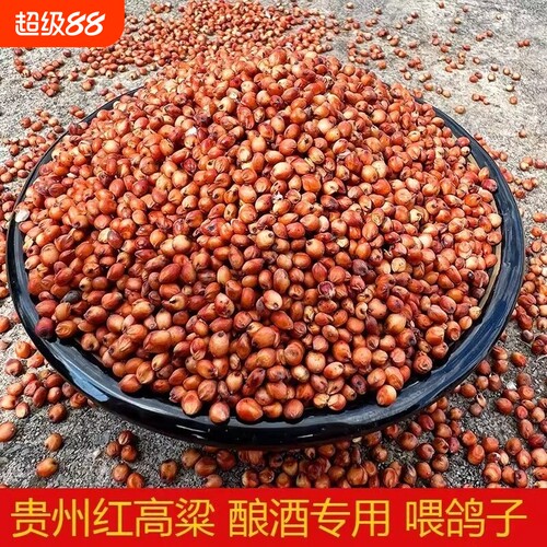 高粱酿酒专用红高粱带壳带皮