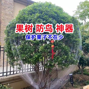 防鸟网果树防鸟罩嘉宝网罩樱桃葡萄果园专用网神器纱网尼龙防护网