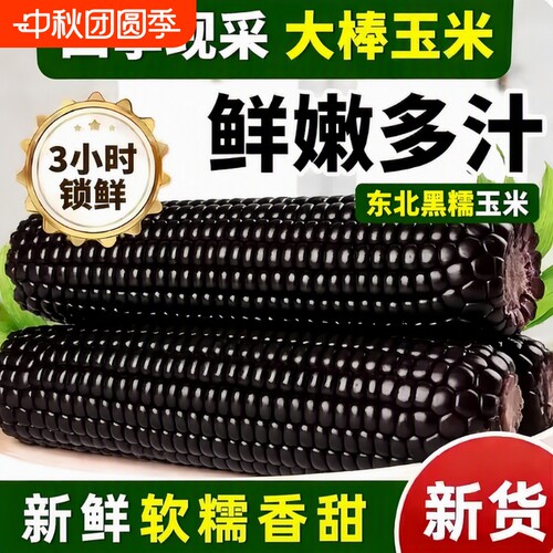 东北黑糯玉米真空装|千人加购