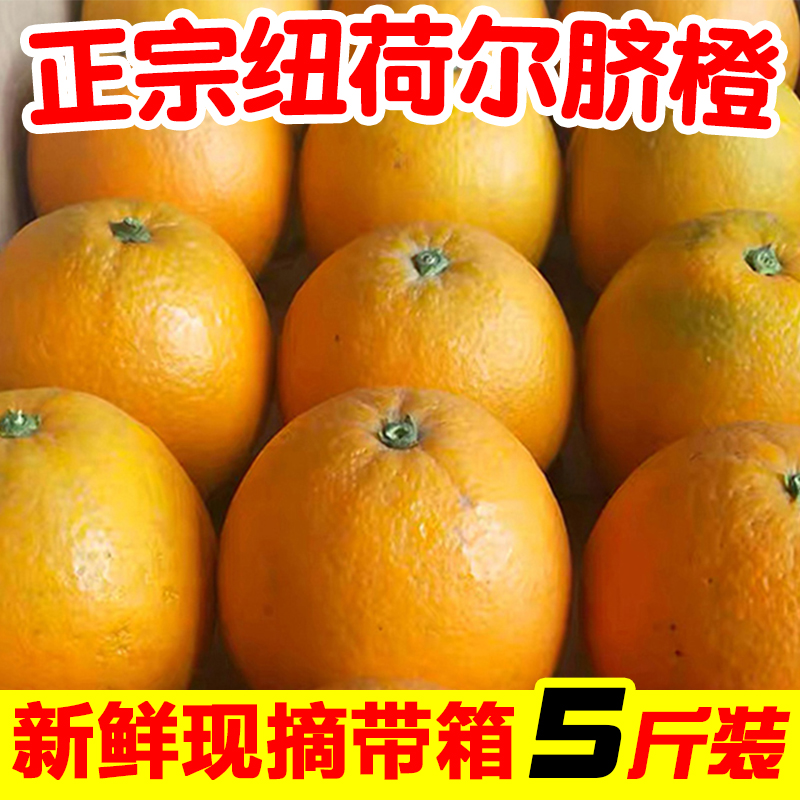 一级正宗湖南纽荷尔脐橙带箱5斤包邮当季新鲜水果橙子整箱手剥橙