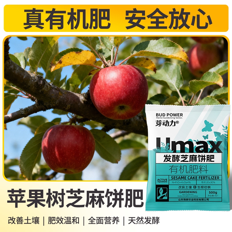 苹果树专用芝麻饼肥发酵菜籽饼芝麻饼有机肥发酵腐熟花肥料