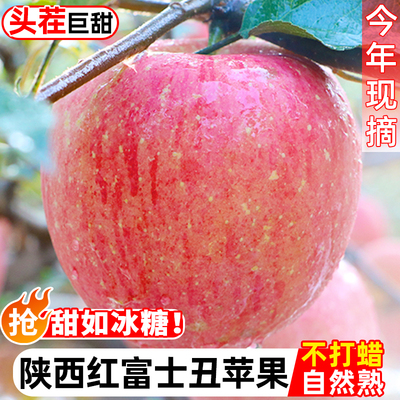陕西高山红富士丑苹果水果新鲜整箱冰糖心当季整箱包邮一级甜脆