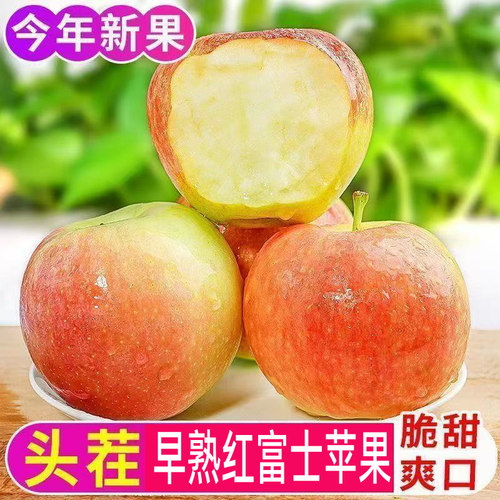 正宗脆甜早熟红富士苹果产地直发