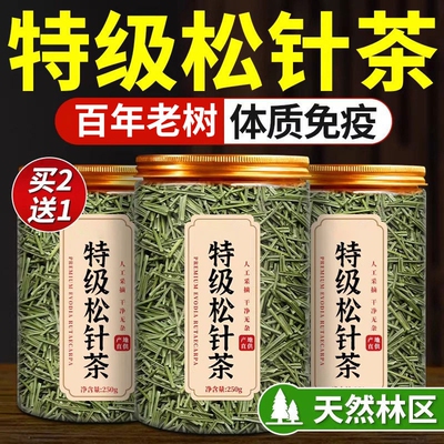 松针茶特级长非野生白山马尾松针茶中药材松针粉叶官方旗舰店正品