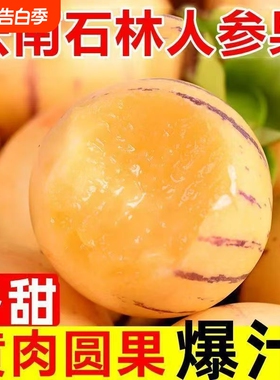 石林应季水果人参果七彩黄肉圆果人生果10斤整箱新鲜水果净重9斤