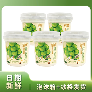 新希望活润轻食杯0添加蔗糖风味发酵乳青提茉莉荞麦爆珠340g 桶装