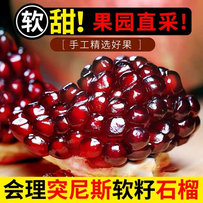 正宗四川会理突尼斯软籽石榴新鲜孕妇水果应当季产地直发现摘大果