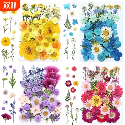干花diy材料包永生花压花片押花草手工滴胶书签真花植物树叶标本