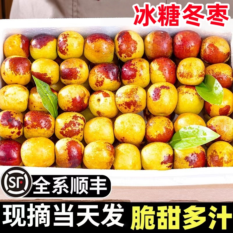 顺丰包邮正宗冬枣新鲜大果应季整箱枣子现摘脆枣冰糖大枣当季水果