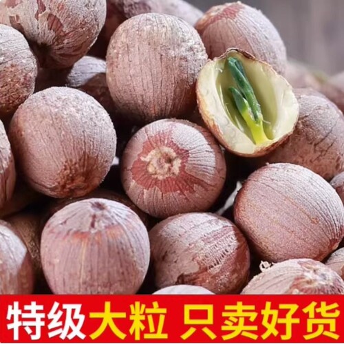 新货湖南特级有心红莲子干货带芯湘莲特产去芯磨皮无硫红皮莲子