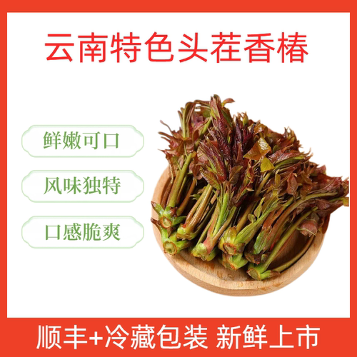 2026年云南头茬红油香椿芽新鲜冷链现摘当季小红椿新鲜嫩芽