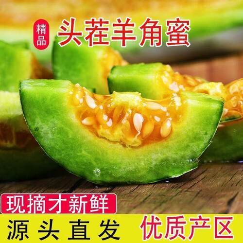 山东羊角蜜甜瓜水果新鲜当季现摘现香瓜蜜瓜羊角产地包邮脆甜落地