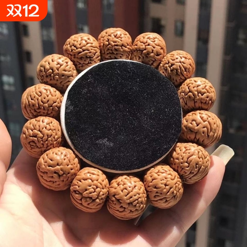 文玩桃核野外生精挑蚂蚁山核桃胡