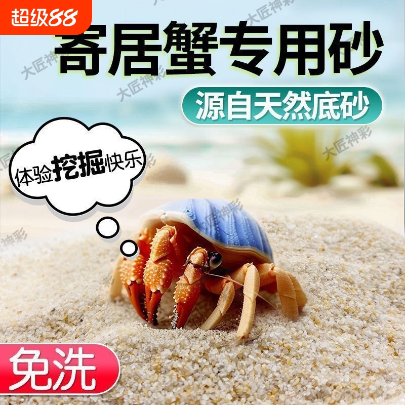 免洗海沙寄居蟹专用沙水草石乌龟纯鱼缸底砂螃蟹底沙天然流沙造景