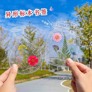 干花手工diy材料透明标本创意瓶子摆件植物花小学生桌面朋友送礼