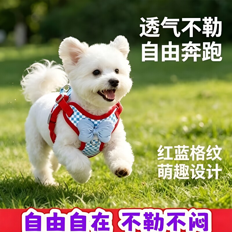 春夏季狗狗休闲风撞色棋盘格纹两脚背心猫咪中小型犬泰迪宠物服装