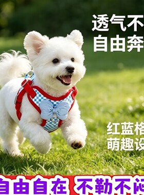 时尚吸睛人性化宠物胸背带背心