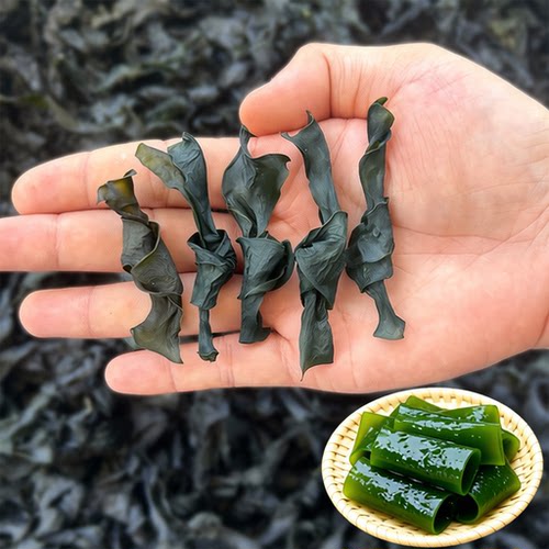 烘干海带结干货500g海带扣特厚无沙麻辣烫火锅关东煮商用新鲜优质
