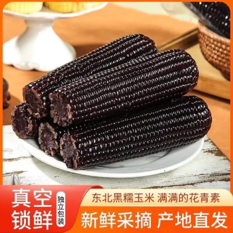 2025年东北玉米粘苞米黑糯玉米新鲜真空包装甜玉米低脂代餐