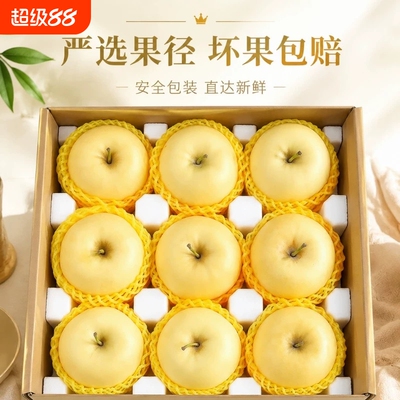 山东黄金奶油富士苹果现摘新鲜水果烟台白色牛奶脆甜整箱包邮
