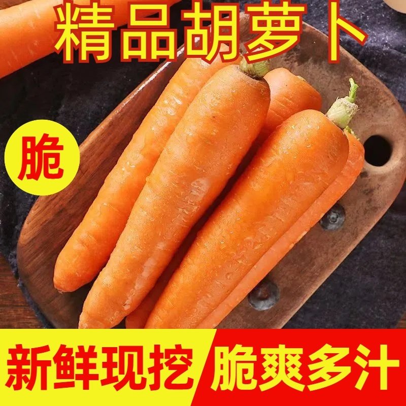 农家自种新鲜蔬菜沙土地胡萝卜生吃脆甜新鲜胡萝卜带泥胡萝卜,水产肉类/新鲜蔬果/熟食,萝卜/胡萝卜,淘宝优惠券,粉丝福利购,淘宝优惠卷