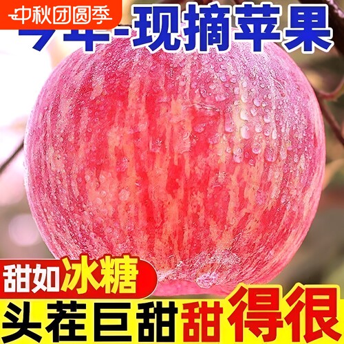 脆甜红富士苹果|超1000次加购