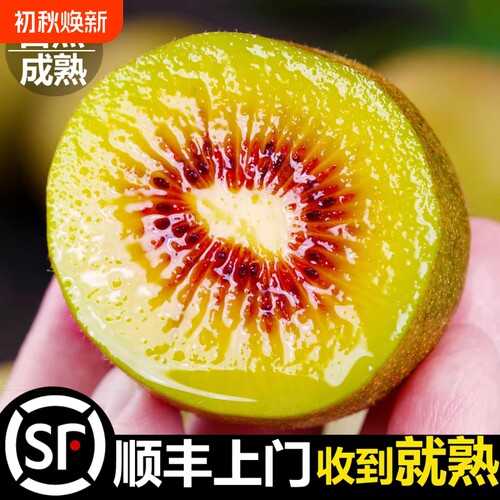 顺丰礼盒正宗四川蒲江即食红心猕猴桃24粒新鲜奇异果当季水果整箱