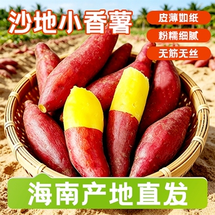 天目山小香薯蜜薯沙地红薯小番薯黄心板栗薯软糯香甜农家自种地瓜