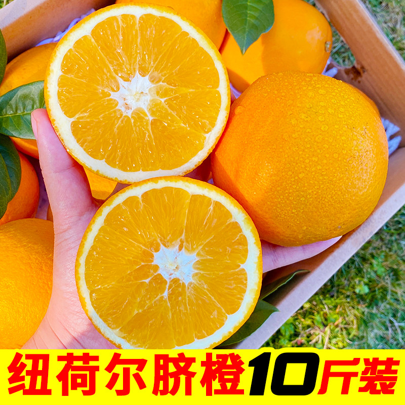 【彩箱】正宗湖南纽荷尔脐橙10斤包邮当季新鲜水果橙子整箱手剥橙,水产肉类/新鲜蔬果/熟食,橙,淘宝优惠券,粉丝福利购,淘宝优惠卷