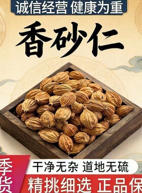 香砂仁四川川砂仁500g商用香料