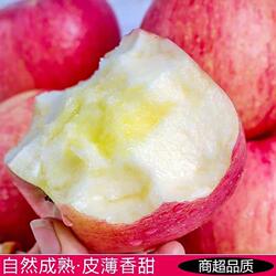 正宗陕西苹果水果新鲜当季整箱红富士冰糖心一级脆甜包邮斤