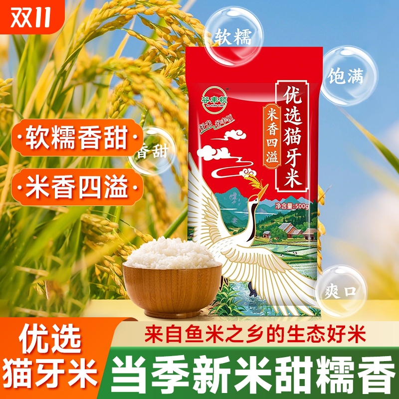 猫牙米新米大米超长粒香米软糯猫牙丝苗米原生态农家米煲仔饭晚稻