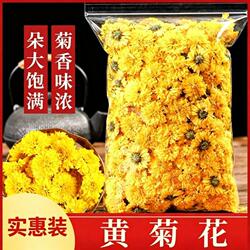 黄菊花特级菊花茶黄贡散装正品婺源黄菊花花干泡水新货非黄山贡菊