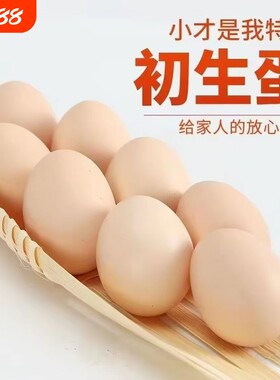 40-50g新鲜土鸡蛋农家林间散养五谷喂养谷物蛋柴鸡蛋草鸡蛋笨鸡蛋