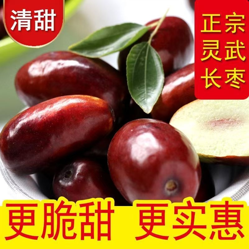 灵武长枣彩箱礼盒装新鲜大枣