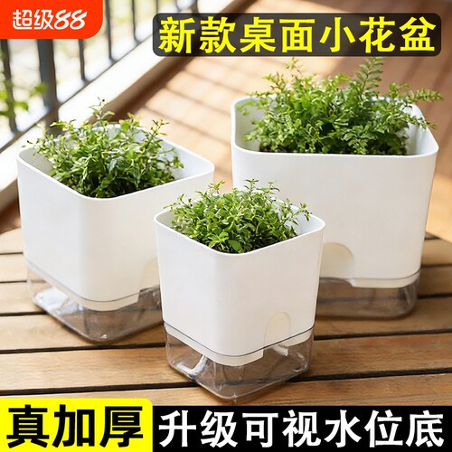 懒人花盆自动吸水盆正方形绿萝多肉塑料透明盆自吸水阳台绿植植物