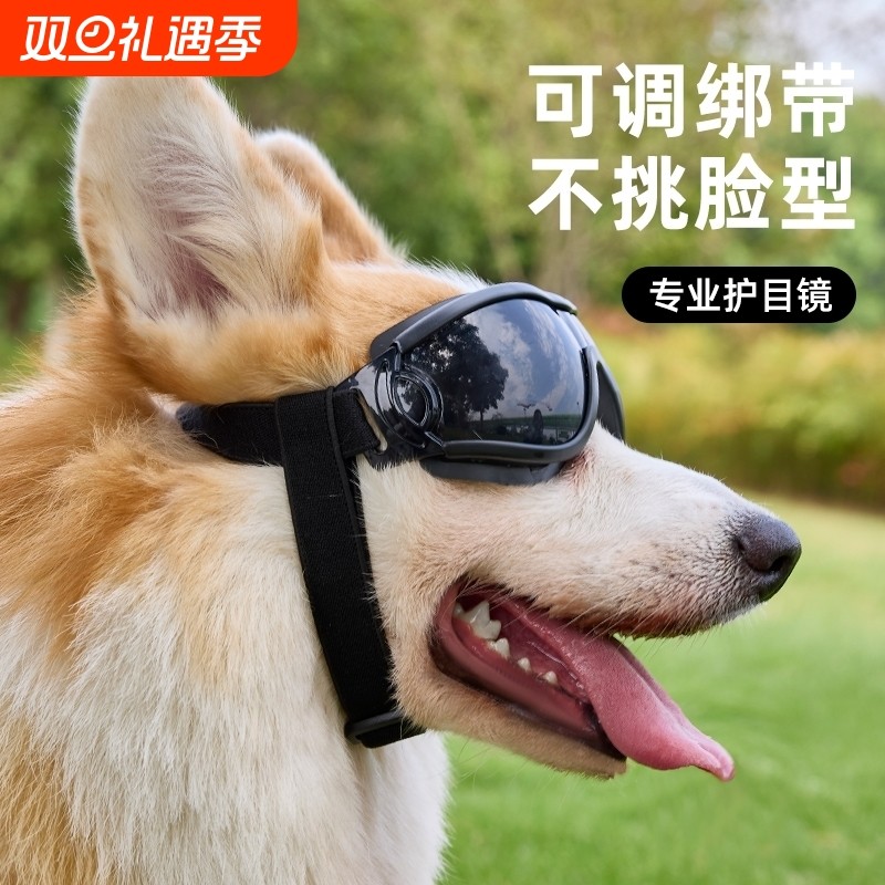 狗狗眼镜宠物墨镜护目镜太阳镜柯基比熊雪纳瑞摩托骑行专用防风镜