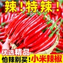 小米辣新鲜5斤批发小米椒朝天椒特辣超辣薄皮土红辣椒指天椒