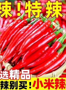 小米辣新鲜5斤批发小米椒朝天椒特辣超辣薄皮土红辣椒指天椒