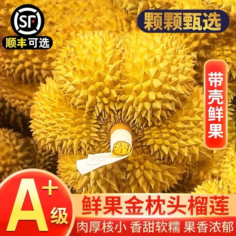 泰国进口金枕榴莲当季A+榴莲带壳一整个香甜新鲜水果榴莲顺丰包邮