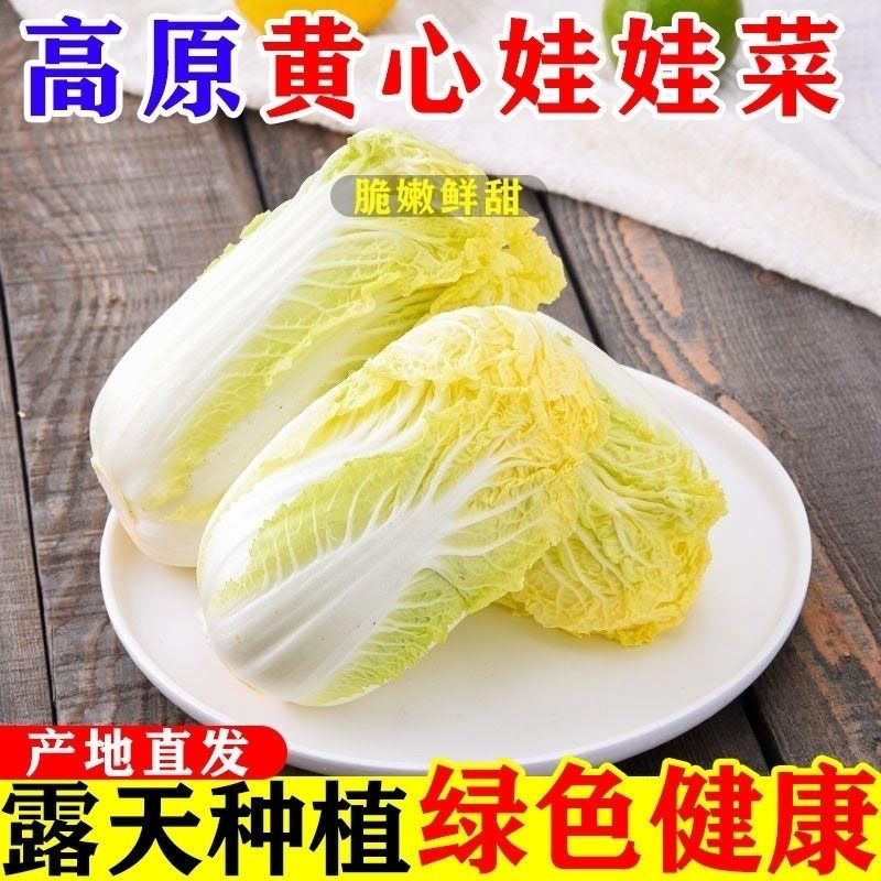宝宝辅食蔬菜黄心娃娃菜甜嫩小棵白菜家庭装时令蔬菜火锅食材好吃