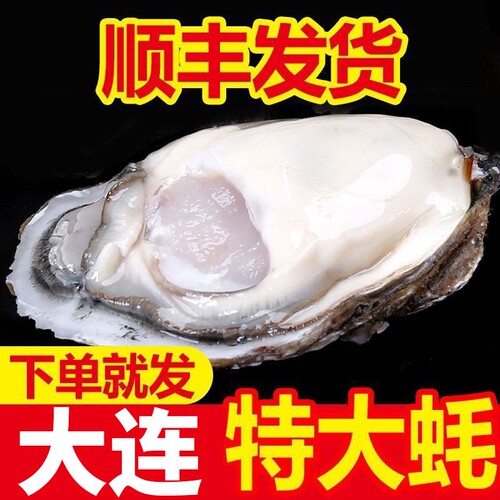 大连生蚝非乳山生蚝鲜活新鲜特大带箱海蛎子海鲜牡蛎水产