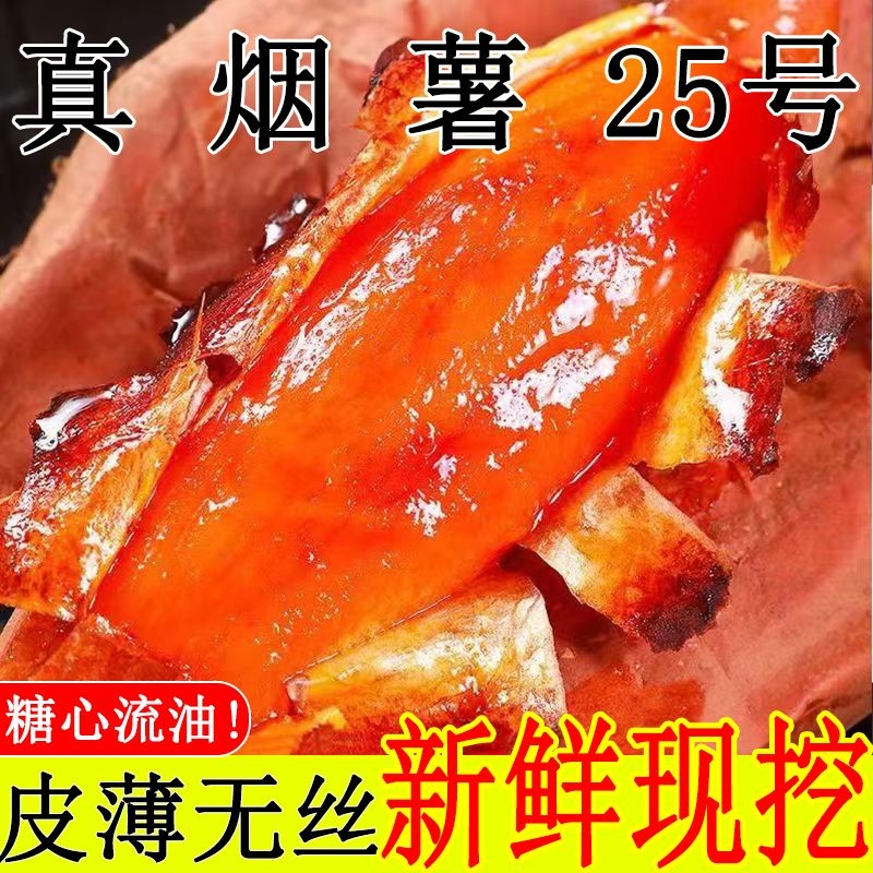 正宗烟薯红薯25号蜜薯红心番薯新鲜当季现挖地瓜农家自种整箱包邮