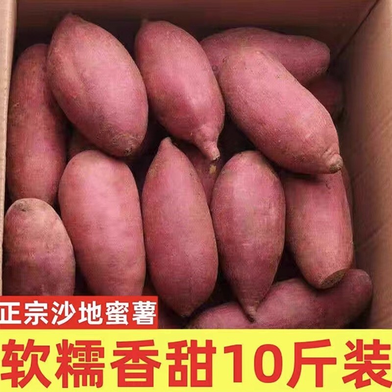 现挖沙地板栗蜜薯新鲜黄心板栗红薯地瓜山芋番薯软糯香甜农家自种