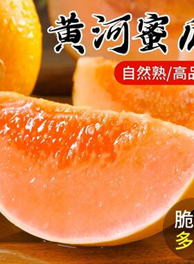 2026甘肃民勤沙漠甜瓜当季新鲜黄金蜜瓜香瓜整箱脆甜头茬民勤蜜瓜