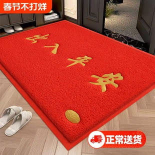 出入平安入户门地垫丝圈防滑门垫进门门口门外脚垫子入户室外地毯